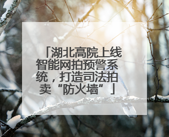 湖北高院上线智能网拍预警系统，打造司法拍卖“防火墙”