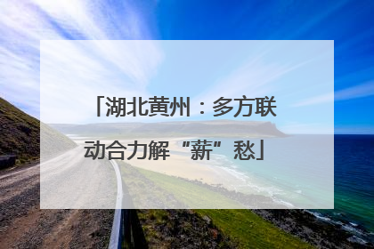 湖北黄州：多方联动合力解“薪”愁
