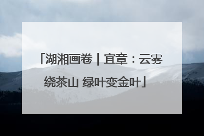 湖湘画卷｜宜章：云雾绕茶山 绿叶变金叶