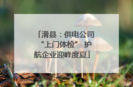 滑县：供电公司“上门体检” 护航企业迎峰度夏
