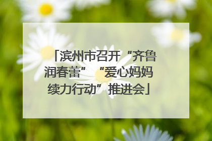 滨州市召开“齐鲁润春蕾”“爱心妈妈续力行动”推进会