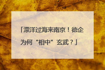漂洋过海来南京！德企为何“相中”玄武？