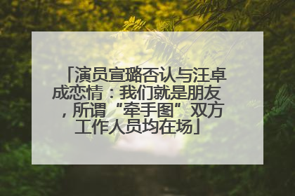 演员宣璐否认与汪卓成恋情：我们就是朋友，所谓“牵手图”双方工作人员均在场