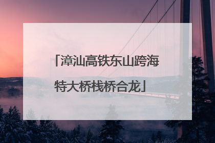 漳汕高铁东山跨海特大桥栈桥合龙
