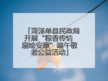 菏泽单县民政局开展“粽香传情 扇绘安康”端午敬老公益活动