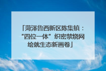 菏泽鲁西新区陈集镇：“四位一体”织密禁烧网 绘就生态新画卷
