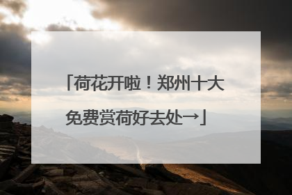 荷花开啦！郑州十大免费赏荷好去处→