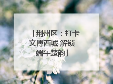 荆州区：打卡文博西城 解锁端午楚韵