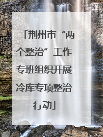 荆州市“两个整治”工作专班组织开展冷库专项整治行动