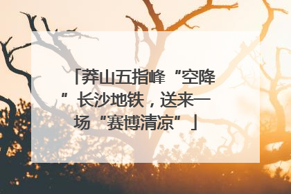 莽山五指峰“空降”长沙地铁，送来一场“赛博清凉”