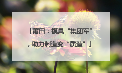 莆田：模具“集团军”，助力制造变“质造”