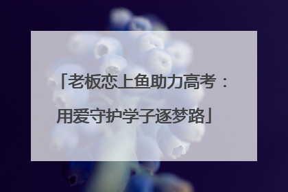 老板恋上鱼助力高考：用爱守护学子逐梦路