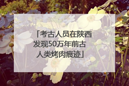 考古人员在陕西发现50万年前古人类烤肉痕迹