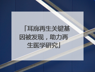 耳廓再生关键基因被发现，助力再生医学研究