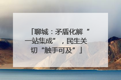 聊城：矛盾化解“一站集成”，民生关切“触手可及”