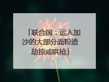 联合国：运入加沙的大部分面粉遭劫掠或哄抢