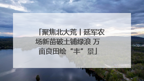 聚焦北大荒丨延军农场新苗破土铺绿浪 万亩良田绘“丰”景