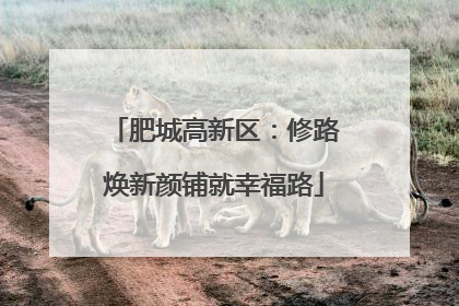 肥城高新区：修路焕新颜铺就幸福路