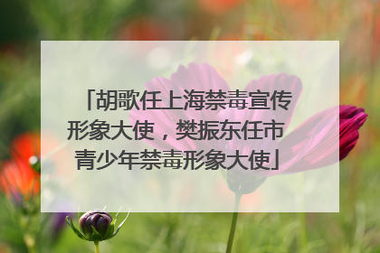 胡歌任上海禁毒宣传形象大使，樊振东任市青少年禁毒形象大使