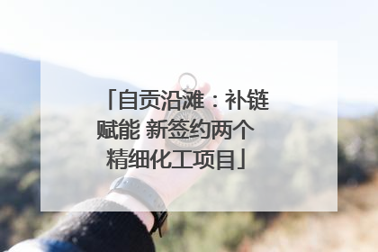 自贡沿滩：补链赋能 新签约两个精细化工项目