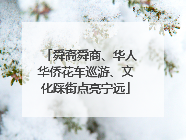 舜裔舜商、华人华侨花车巡游、文化踩街点亮宁远