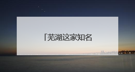 芜湖这家知名上市公司，中国行业第一！