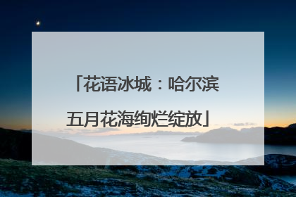 花语冰城：哈尔滨五月花海绚烂绽放