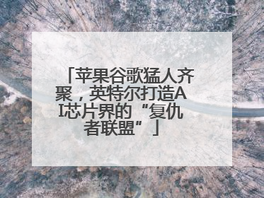苹果谷歌猛人齐聚，英特尔打造AI芯片界的“复仇者联盟”