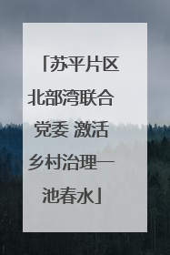 苏平片区北部湾联合党委 激活乡村治理一池春水