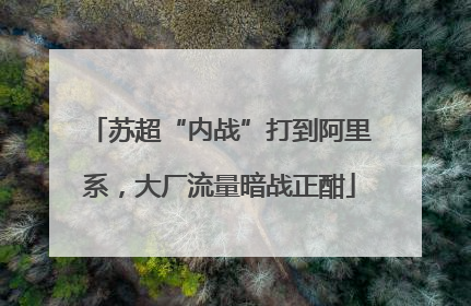 苏超“内战”打到阿里系，大厂流量暗战正酣