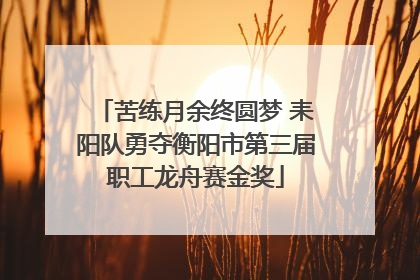 苦练月余终圆梦 耒阳队勇夺衡阳市第三届职工龙舟赛金奖
