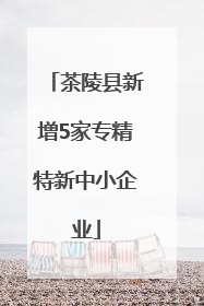 茶陵县新增5家专精特新中小企业