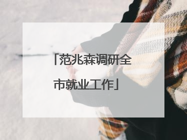 范兆森调研全市就业工作