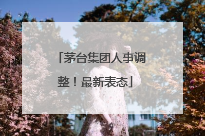 茅台集团人事调整！最新表态
