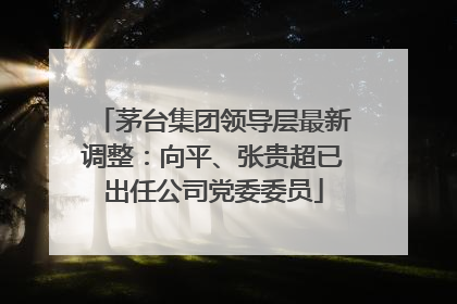 茅台集团领导层最新调整：向平、张贵超已出任公司党委委员
