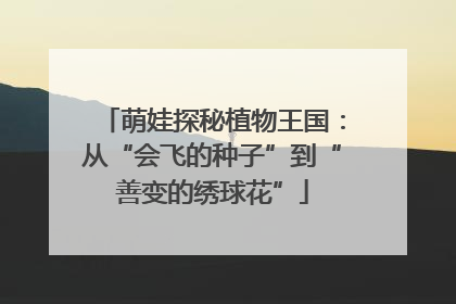 萌娃探秘植物王国：从“会飞的种子”到“善变的绣球花”