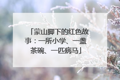 蒙山脚下的红色故事：一所小学、一盏茶碗、一匹病马