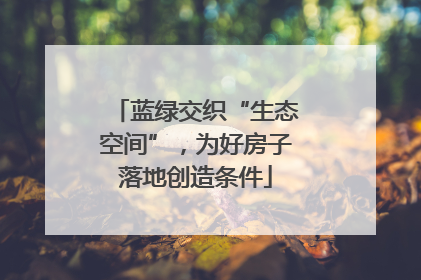 蓝绿交织“生态空间”，为好房子落地创造条件