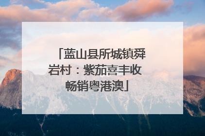 蓝山县所城镇舜岩村：紫茄喜丰收 畅销粤港澳