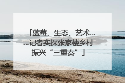 蓝莓、生态、艺术……记者实探张家楼乡村振兴“三重奏”