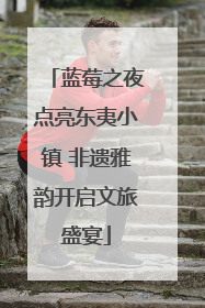 蓝莓之夜点亮东夷小镇 非遗雅韵开启文旅盛宴
