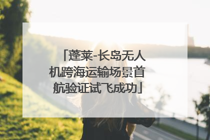 蓬莱-长岛无人机跨海运输场景首航验证试飞成功