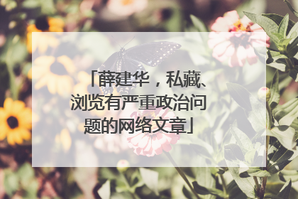 薛建华，私藏、浏览有严重政治问题的网络文章