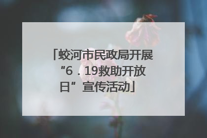 蛟河市民政局开展“6．19救助开放日”宣传活动