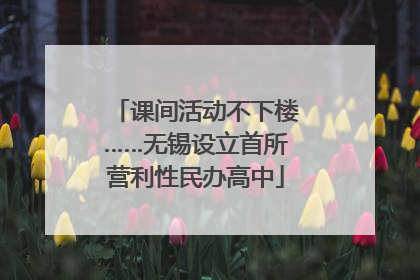 课间活动不下楼……无锡设立首所营利性民办高中