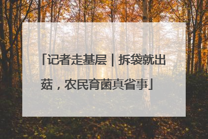 记者走基层｜拆袋就出菇，农民育菌真省事