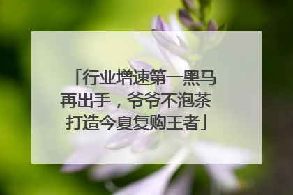 行业增速第一黑马再出手，爷爷不泡茶打造今夏复购王者