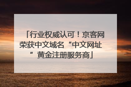 行业权威认可！京客网荣获中文域名“中文网址”黄金注册服务商