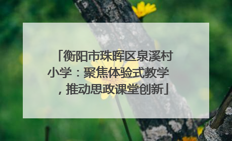 衡阳市珠晖区泉溪村小学：聚焦体验式教学，推动思政课堂创新