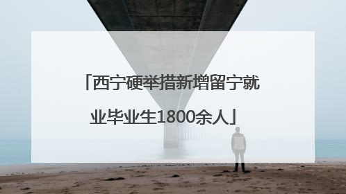 西宁硬举措新增留宁就业毕业生1800余人